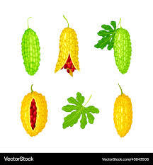 Image result for Momordica charantia