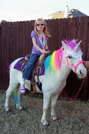 The Black Family Brooke And The Rainbow Unicorn Shawn Mendes Real Unicorn Shawn Mendes Cute