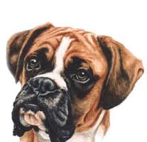 14×11 inches £475.00 (unframed)14×11 inches £550.00 (framed and mounted 18×15 inches) for a scenic background add £80.00 for each additional subject add £80.00. Pet Portraits Beautiful Pet Portraits Animal Pictures By Christine Varley Pet Portrait Artist