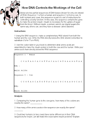 The original strand of dna looks like this acgtctcga, the mutated strand looks like this acgttcga. What Are Dna Sequences Instructions For