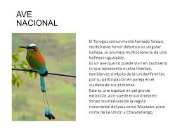 Bandera nacional de nicaragua nombre común: Simbolos Patrios De Centroamerica Ppt Video Online Descargar