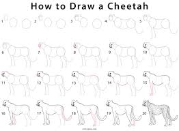 Draw outline for middle shape of the face as shown & lips. How To Draw A Cheetah Step By Step Pictures