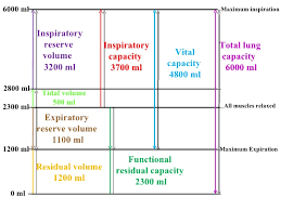 volumes capacities 2