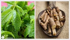 What Is Peppermint And Licorice Tea Good For Tea In Abstraction