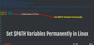 Learn How To Set Your Path Variables Permanently In Linux