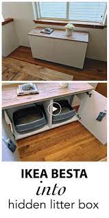 J 39 Ai 2 Chats Et Aucune Autre Piece Pour Abriter Les Bacs A Litiere Pour Chats Que Dans Mo Litiere Chat Chambre A Theme Chat Bac A Litiere Chat