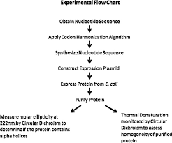1 Flow Chart Describing Experimental Plan Download