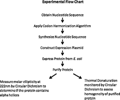 1 flow chart describing experimental plan download