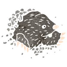Moles have cylindrical bodies covered in fur with small or mole control for large moles can be a challenge as well as mole control for small moles. How To Identify And Get Rid Of Lawn Pests Gunter Pest Lawn
