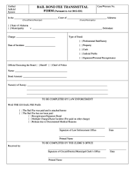 Maybe you would like to learn more about one of these? Bail Bond Format Fill Out And Sign Printable Pdf Template Signnow