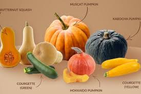 Image result for Cucurbitaceae