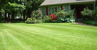 Lawn mowing, trimming & edging. Lawn Mowing Indianapolis In Chop Chop Landscaping Indianapolis In