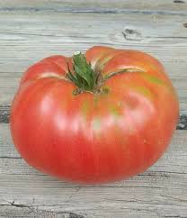 Maybe you would like to learn more about one of these? Kansas Depression Secret Seed Cartel