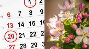 Durch die schaltjahre, in denen der februar 29 tage hat, wird diese ungenauigkeit wieder ungefähr. Fruhlingsbeginn 2016 Warum Wir Gleich Dreimal Feiern Welt