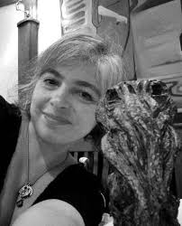 Transportistas, contra diputados por ignorarlos para modificar ley