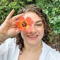 The Summoning of Mages by Nadia Tate