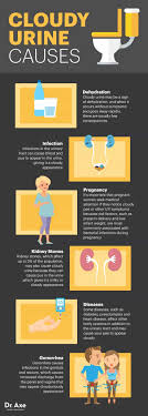 What Does The Color Of Your Pee Say About Your Health The Whoot Cloudy Urine Cloudy Urine Causes Urinary Incontinence