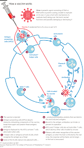 Do they really think we are so bad that we spread disease are our events? Coronavirus And The 2bn Race To Find A Vaccine Financial Times