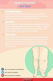  Dok Pedia Dokpedia Profil Pinterest