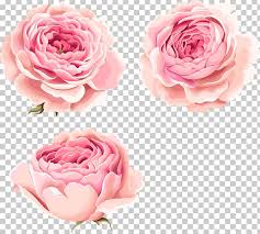 Select from premium pink peony of the highest quality. Hand Painted Beautiful Pink Peony Flowers Png Clipart Backgrounds Beautiful Beautiful Clipart Flower Flowers Free Png