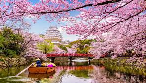 Sebagai negara kepulauan, jepang memiliki empat pulau utama yaitu pulau hokkaido, honshu, kyushu, dan shikoku. Pelajari Semua Tentang Negara Jepang Sebelum Menginjakkan Kaki Ke Negeri Sakura