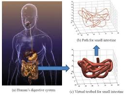 Image result for Wireless Capsule Endoscopy