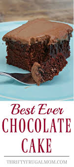 Best Ever Chocolate Cake No Eggs No Butter I believe it dates back to the depression.