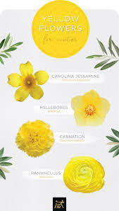 Choose one for your baby boy from the following list it is a unisex name that has magical associations with it. 30 Types Of Yellow Flowers Ftd Com Small Yellow Flowers Yellow Flowers Names Types Of Flowers