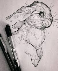 See more ideas about cute drawings, animal clipart, animal drawings. 76 Pencil Art Drawings Ideas Drawings Cool Drawings Art Drawings