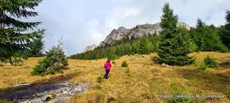 Cascada vălul miresei ⭐ , romania, cluj: Muntii Bihor Vladeasa Apuseni Peisajele Calatorului