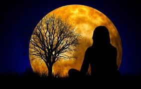 38 Eating In The Light Of The Moon With Dr Anita Johnston Psychologists Off The Clock Episodes