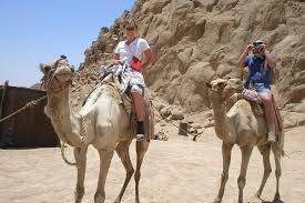 Camel fossils are also found in india, kashmir, and algeria. Camel Ride In Sharm Elsheikh Desert Marriott Vacation Club