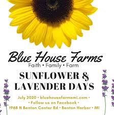 The debuck family started growing sunflowers in 2017. Sunflower Lavender Days 2020 Blue House Farms