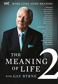 The Meaning of Life 2: More Lives, More Meaning by Roger Childs, Gay Byrne  (2014) Hardcover : Amazon.com.tr: Kitap