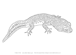 Our printable sheets for coloring in are ideal to brighten . Gecko Lizard Coloring Pages