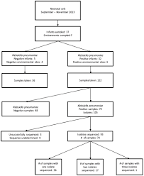 Frontiers Transmission Dynamics Of Hyper Endemic Multi