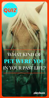 What Kind Of Pet Were You In Your Past Life Prepare To Be Shocked It Gets Way More Specific Than Cat Or Dog Life Quizzes Animal Quiz Past Life