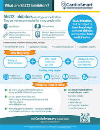Image result for SGLT2 Inhibitor