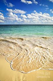 Check spelling or type a new query. Sandy Beach Posters Fine Art America