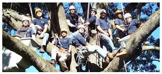 Maybe you would like to learn more about one of these? Joshua Tree Experts Certified Arborist Offering Tree Services In Allentown Bethlehem Easton Pa Phillipsburg Nj Tree Service Tree Care Lawn Care