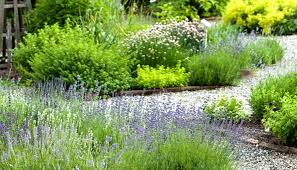 Kräuter aus dem eigenen garten sind besonders lecker. Krauter Im Garten Wie Sie Die Gewurze Am Besten Anpflanzen