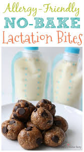 Allergy Friendly No Bake Lactation Bites Happy Home Fairy Recipe Dairy Free Lactation Cookies Lactation Cookies Dairy Free Lactation Recipes