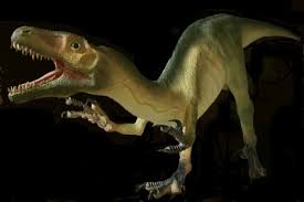 RÃ©sultat de recherche d'images pour "La dÃ©couverte d'un fossile de ptÃ©rosaure primitif en AmÃ©rique du Nord"