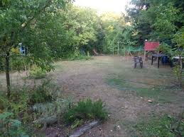 2 Zimmer Wohnung Zu Vermieten Am Romerlager 32 55131 Mainz Oberstadt Mapio Net