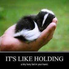 Dopl3r Com Memes Its Like Holding A Tiny Furry Fart In Your Hand