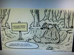 Ebru Ozer Adli Kullanicinin Karikatur Panosundaki Pin Karikatur