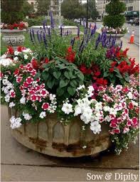 Purchase the enduring light casket spray at rockcastle red rose & white lily casket spray. 14 Designer Planter Ideas Container Flowers Container Gardening Container Gardening Flowers