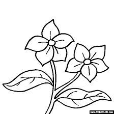 Garden of love coloring page. Lilac Flower Coloring Page Syringa