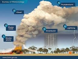 We did not find results for: Vague De Chaleur Et Incendies Records En Australie 1 Milliard D Animaux Morts