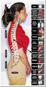 Pin On Chiropractic Care For Your Health